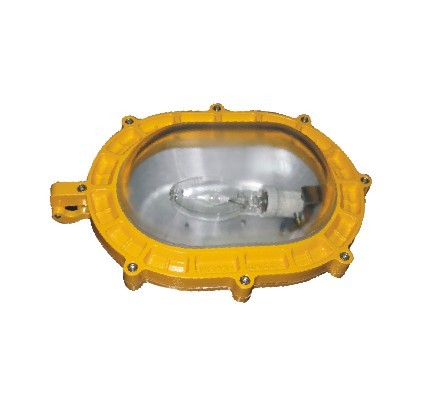 BFE8120内场防爆应急灯